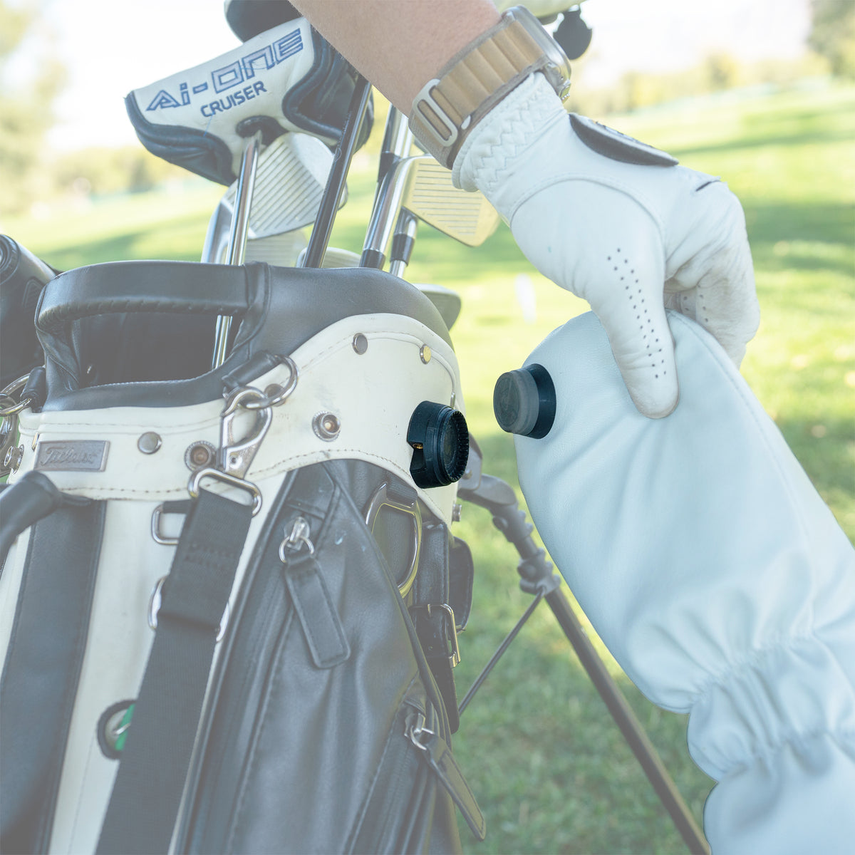 Headcover Magnet